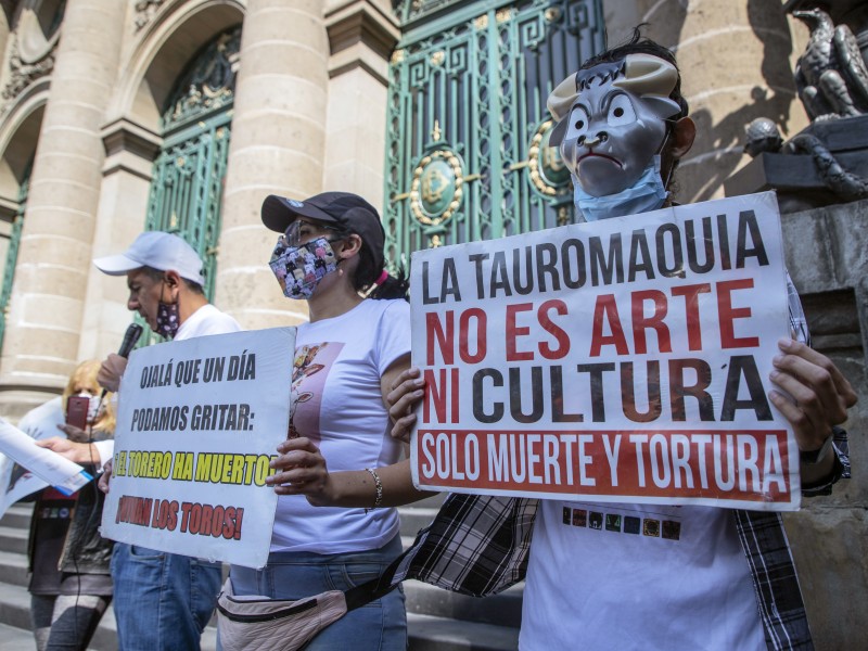 10 años de primera prohibición de corridas de toros