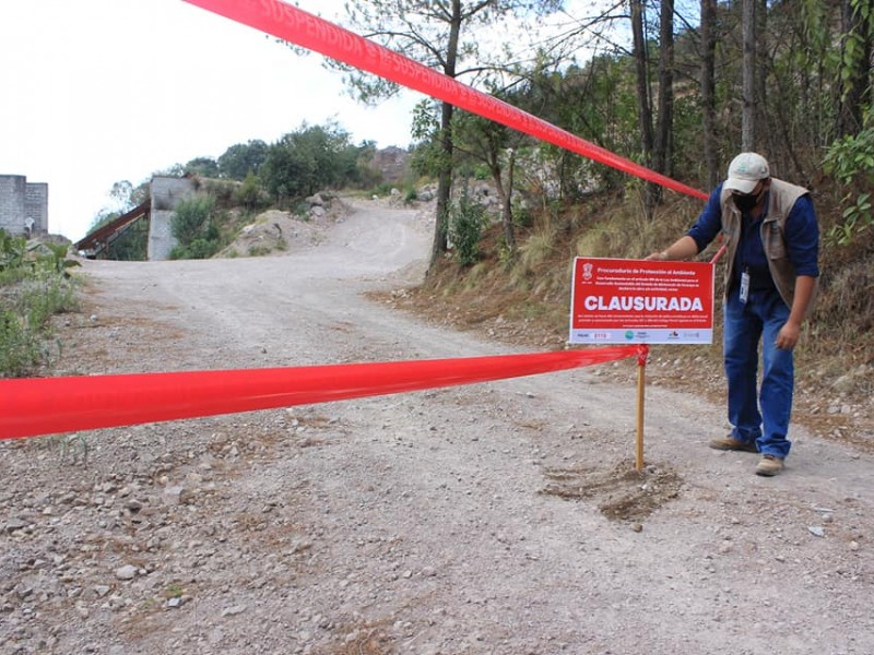 10 denuncia al mes por explotación de recursos naturales