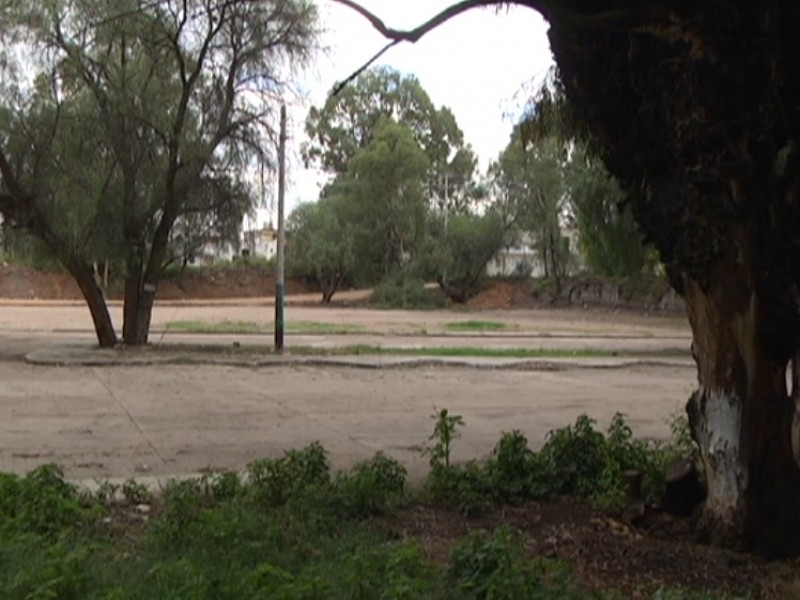 10 mil árboles serán planteados en parque Galeana