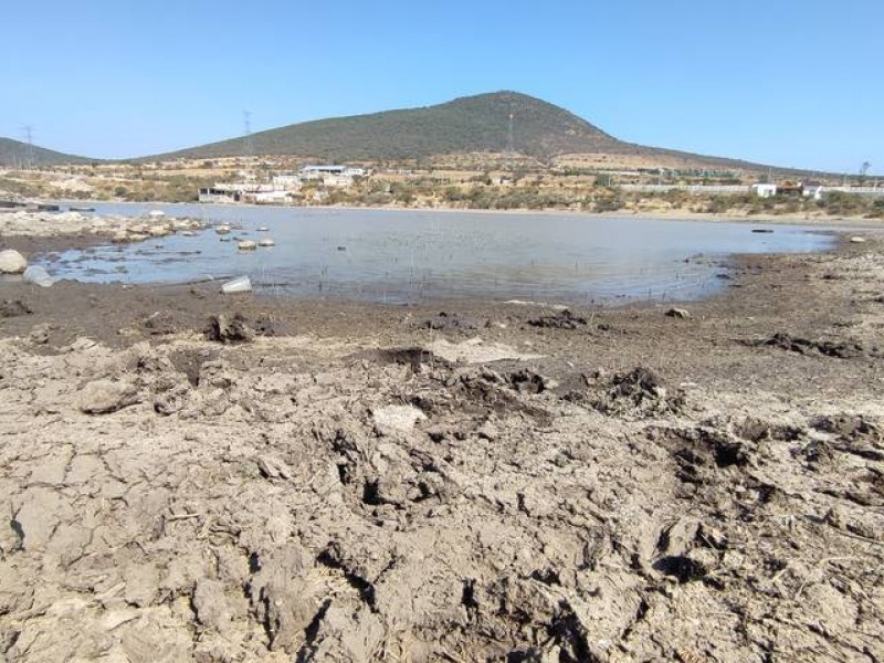 10 presas de Querétaro se encuentran vacías