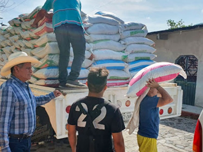 100 comunidades de Petatlán recibirán fertilizante