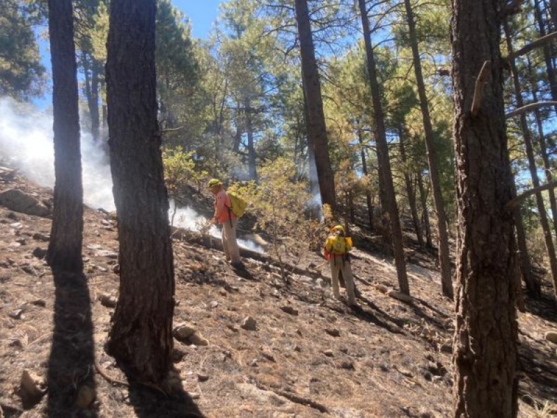 100 por ciento de control en incendios forestales