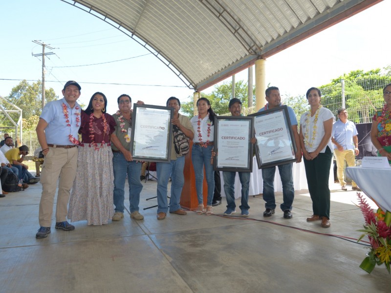 101 mil hectáreas de Chimalapas se certifica como área protegida