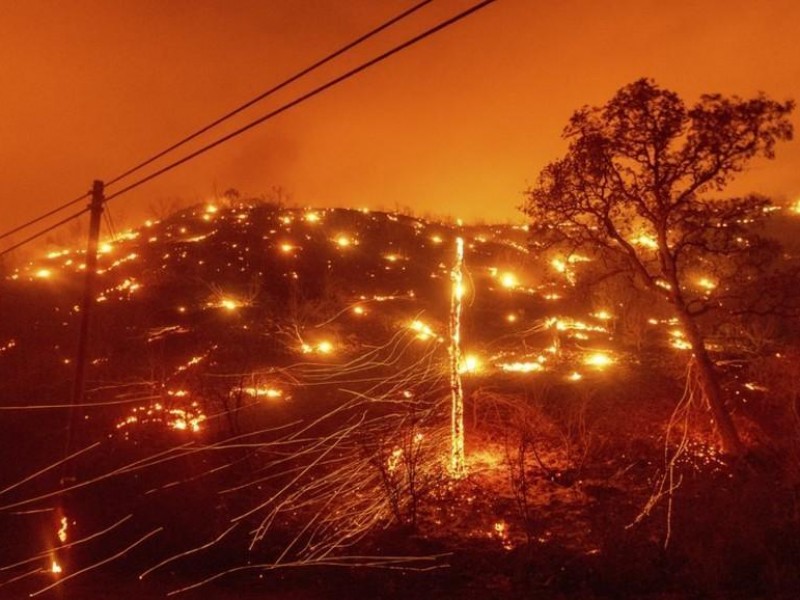 101 nayaritas fueron enviados a combatir incendios forestales en California