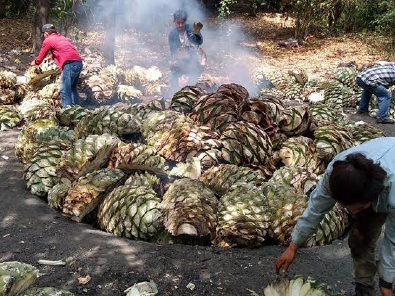 11 de abril “Día del Maestro Mezcalero