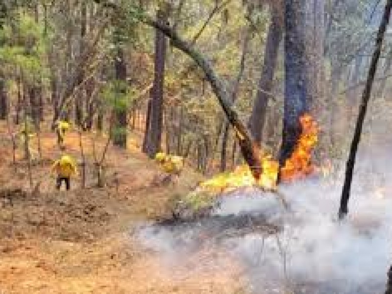 11 incendios activos en territorio Oaxaqueño: COESFO