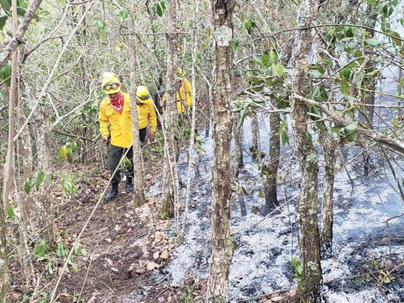 11 incendios permanecen activos en Chiapas