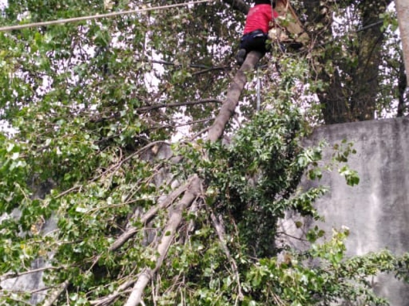 11 mil mexiquenses en riesgo por lluvias