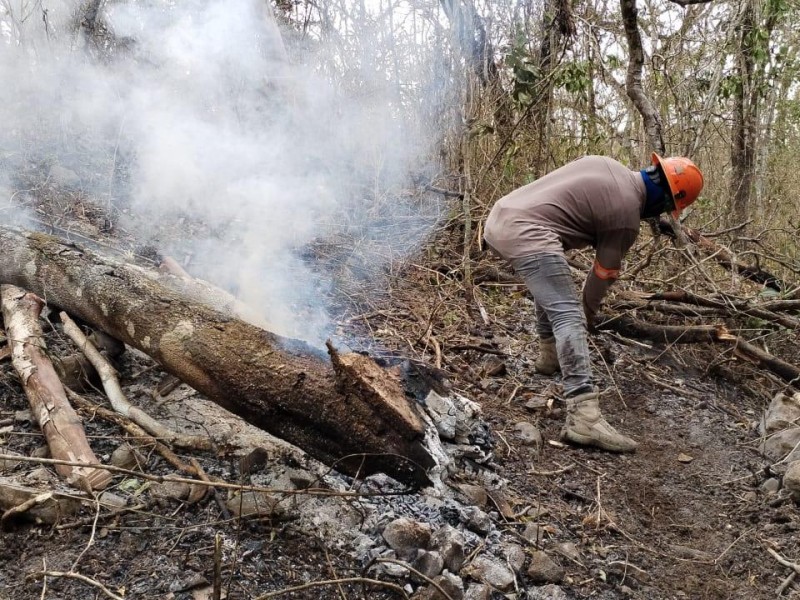 112 hectáreas siniestradas tras incendios en Mactumatzá