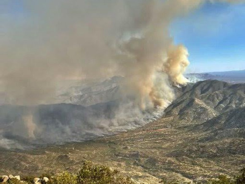 11,489 hectáreas afectadas por incendio en Contrerasfire
