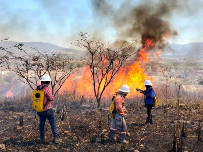 13 incendios se han combatido en las últimas horas