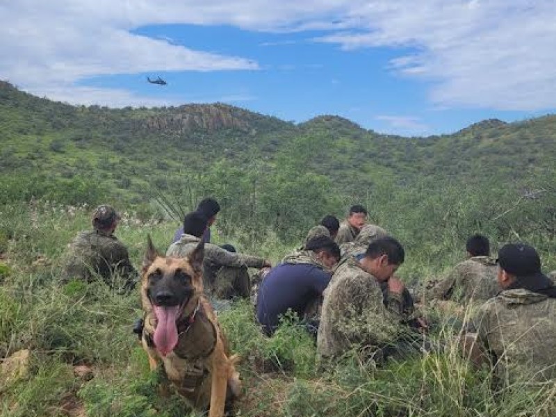 13 migrantes indocumentados detenidos al norte de Nogales, Arizona