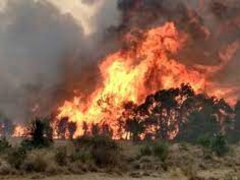 130 incendios en lo que va del año en Puebla