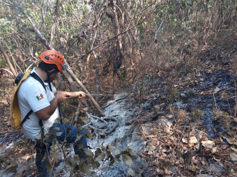 14 incendios activos en Chiapas: Protección Civil