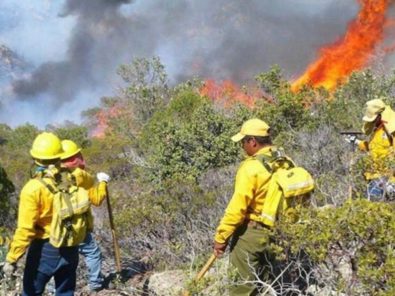 14 Incendios Forestales en Oaxaca