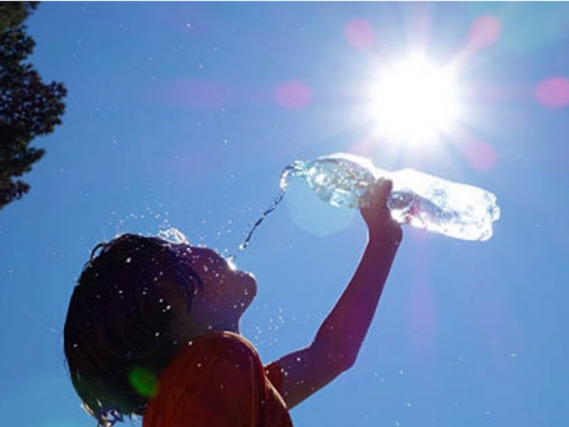 14 muertos por ola de calor en México