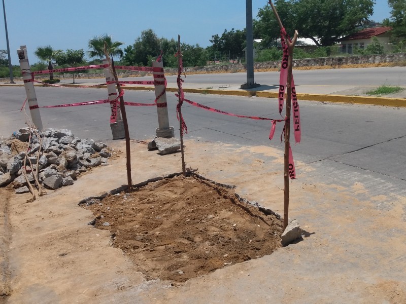 15% de baches se atribuyen a reparaciones del SAP