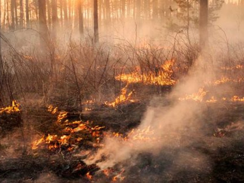 15 días de incendio en la sierra de Valparaíso