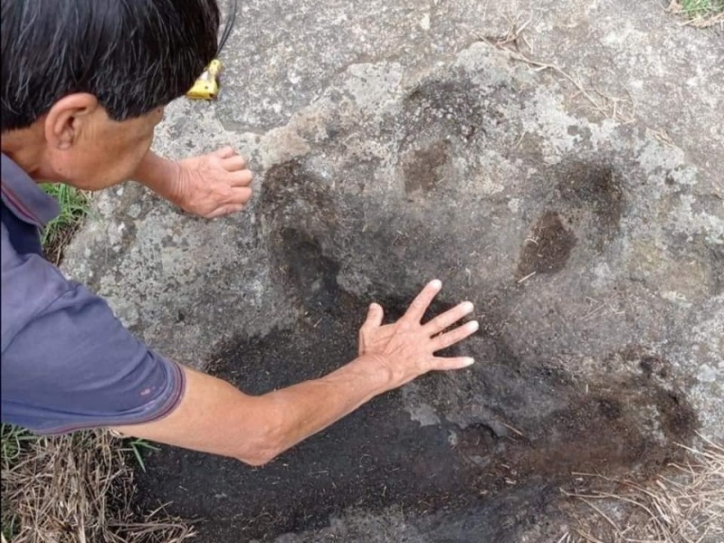 15 distintas huellas de dinosaurio son halladas en Zacatlán