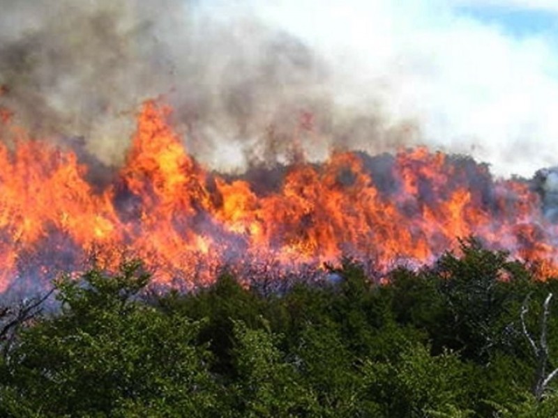 15 incendios siguen activos en Chiapas