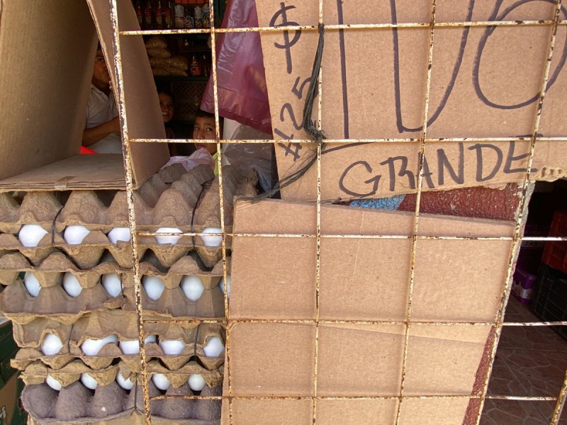 15 pesos más se eleva precio del cono de huevo