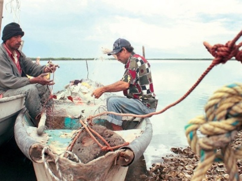 15 toneladas de camarón perdidas en Mexcaltitán por Roslyn