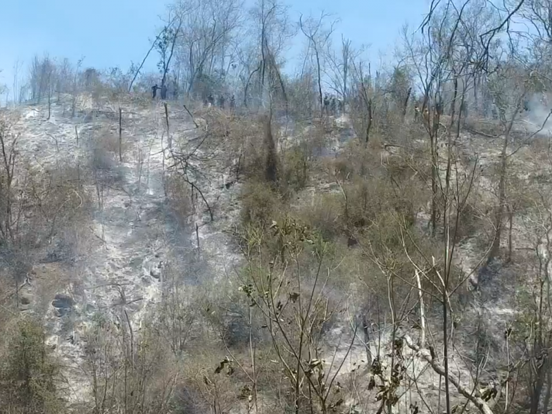 150 hectáreas afectadas por incendio en Copalita Huatulco
