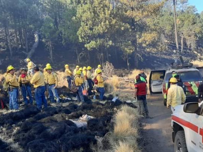 156 incendios forestales en enero en Edomec