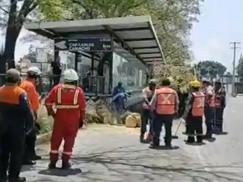 16 árboles caídos durante lluvias Puebla