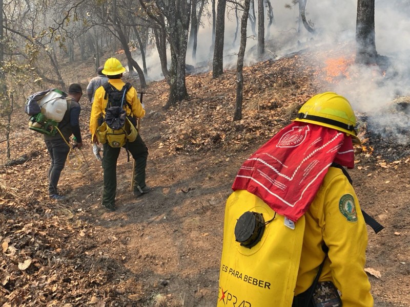 16 incendios forestales han consumido 579 hectáreas en Querétaro