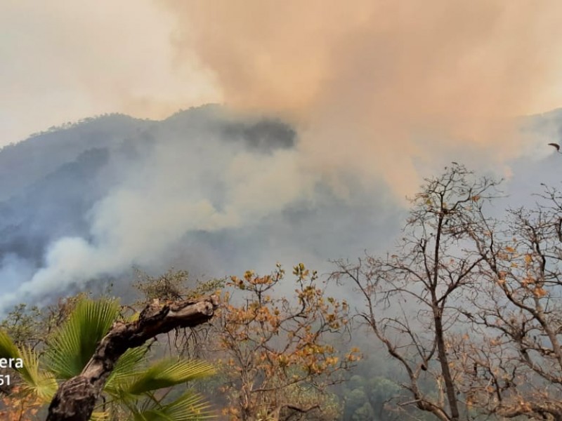 17 incendios activos en Guerrero, reporta Conafor