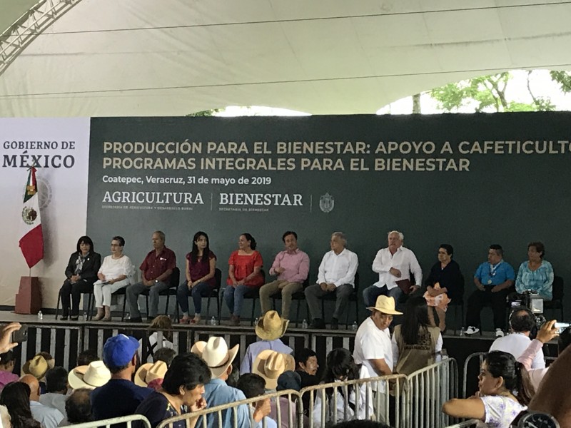 170 mil apoyos a cafetaleros: AMLO