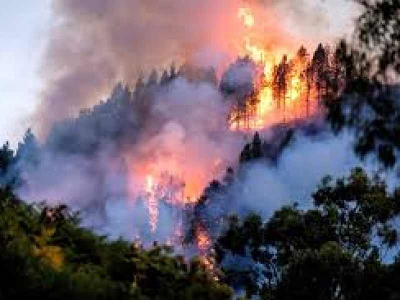 18 incendios forestales en 10 estados del país