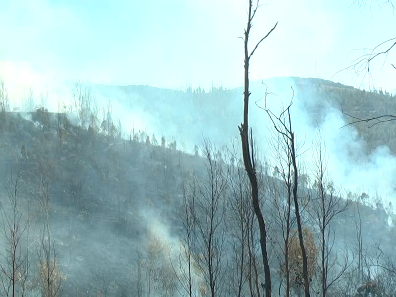2 incendios forestales continuan activos en el estado
