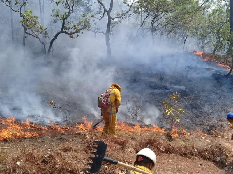 2 mil hectáreas han sido afectadas por incendios forestales