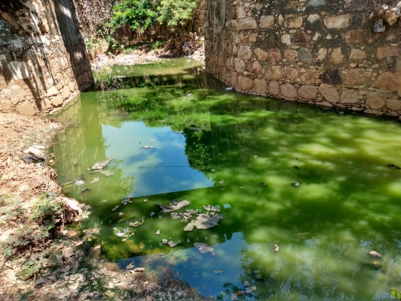 20 años viviendo entre aguas negras, piden atención