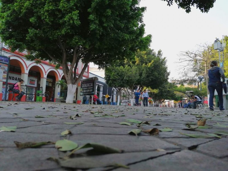 20 escuelas, empresas y ciudadanos, 