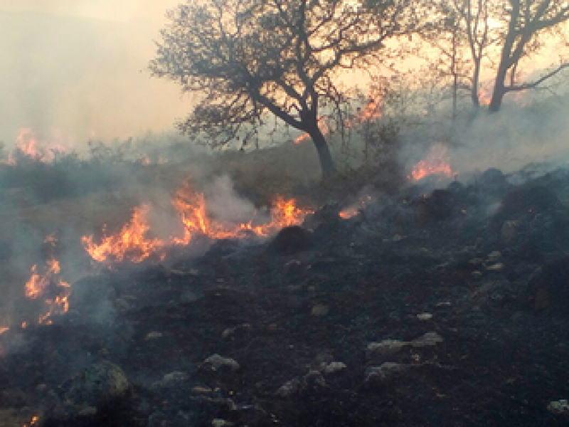 20 incendios forestales se registra Huimilpan en 2020
