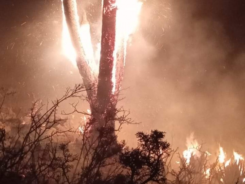 200 hectáreas han sido devastadas por fuego en Tlacotepec