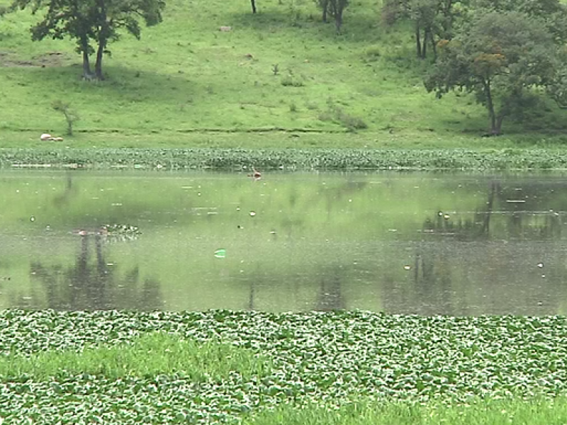 200 mdp para saneamiento de Lago de Valsequillo