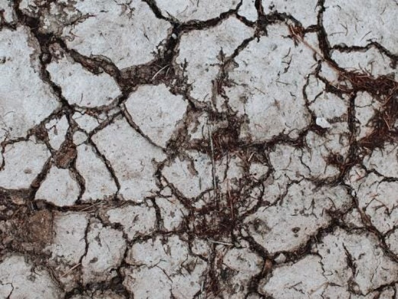 2022 año de la sequía en México