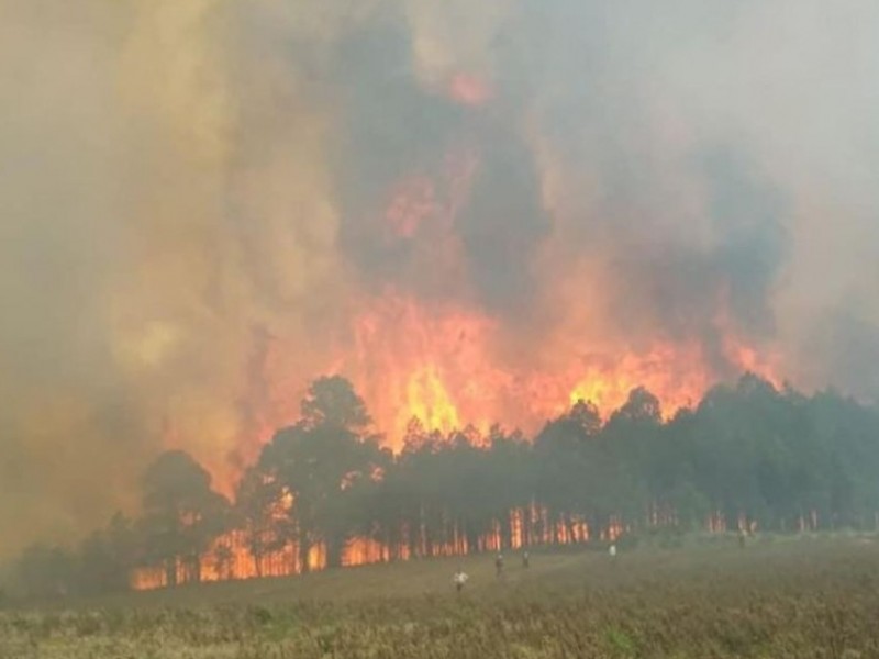 2022 cerró con 269 incendios forestales en Veracruz