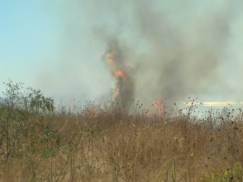 2024: 51 incendios en Zacatecas. 90% son provocados por humanos