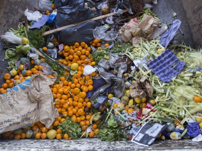 20.5 mdt de alimento se desperdician en México