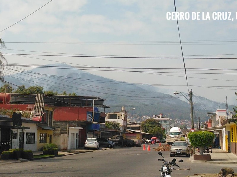 207 hectáreas afectadas por incendio en Cerro de la Cruz