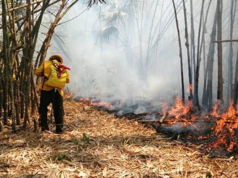 21 incendios fueron mitigados en Chiapas en últimas horas