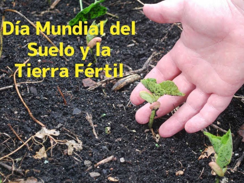 22 de junio, día mundial del suelo y tierra fértil