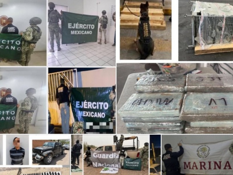22 detenidos y aseguramientos de droga durante operativos en municipios sonorenses