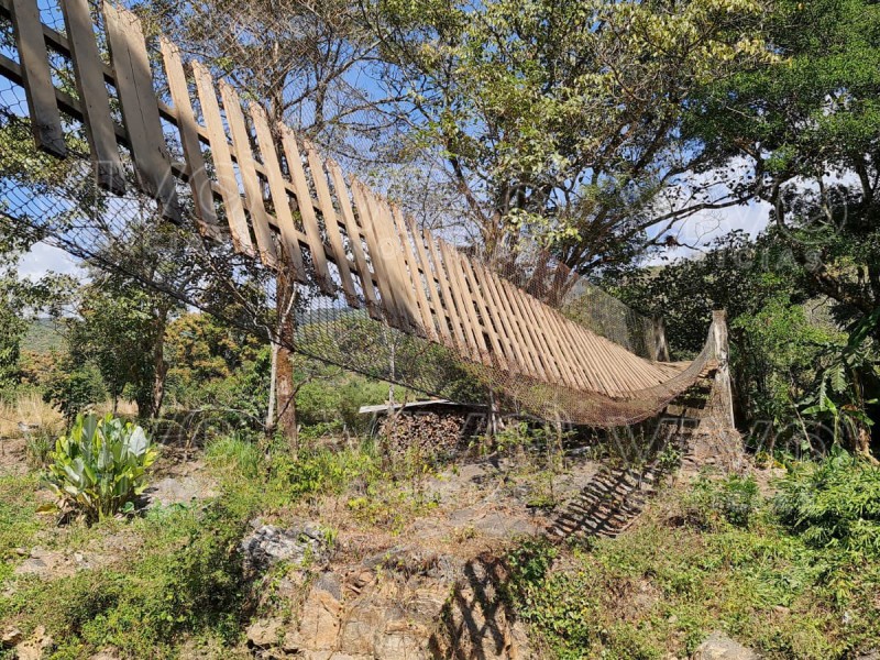 23 lesionados deja colapso de puente colgante en Oaxaca