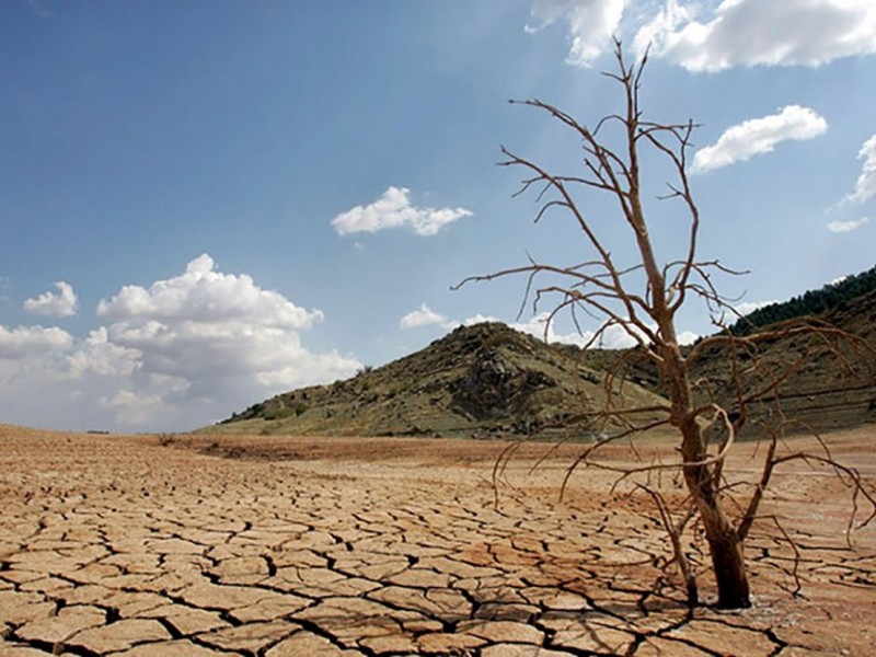 234 comunidades de Sinaloa resienten primeros efectos de la sequía